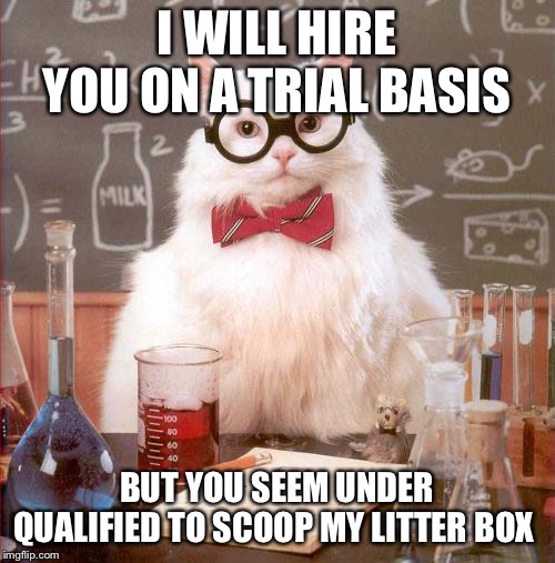 Science Cat | I WILL HIRE YOU ON A TRIAL BASIS; BUT YOU SEEM UNDER QUALIFIED TO SCOOP MY LITTER BOX | image tagged in science cat | made w/ Imgflip meme maker