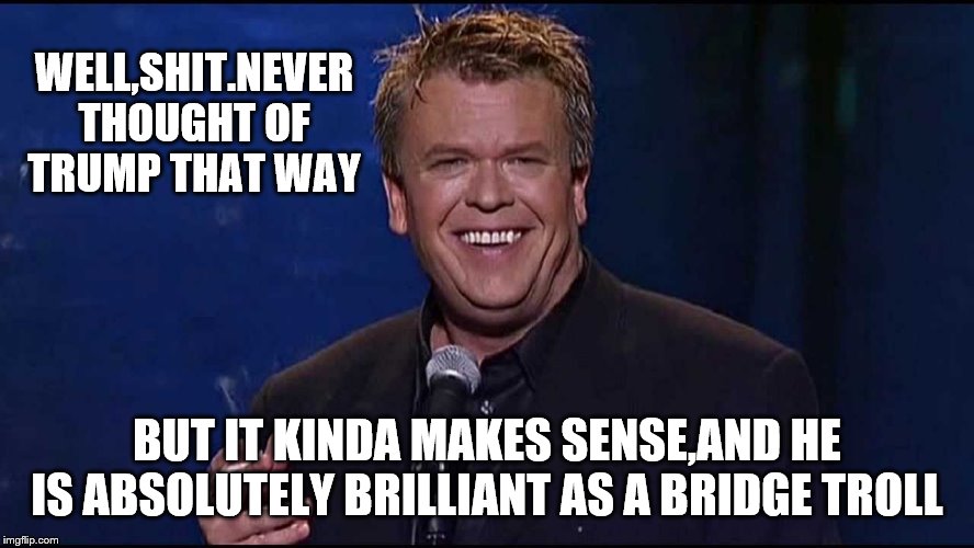 Ron White | WELL,SHIT.NEVER THOUGHT OF TRUMP THAT WAY BUT IT KINDA MAKES SENSE,AND HE IS ABSOLUTELY BRILLIANT AS A BRIDGE TROLL | image tagged in ron white | made w/ Imgflip meme maker