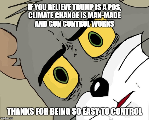 Unsettled Tom Meme | IF YOU BELIEVE TRUMP IS A POS,
CLIMATE CHANGE IS MAN-MADE
AND GUN CONTROL WORKS; THANKS FOR BEING SO EASY TO CONTROL | image tagged in memes,unsettled tom | made w/ Imgflip meme maker