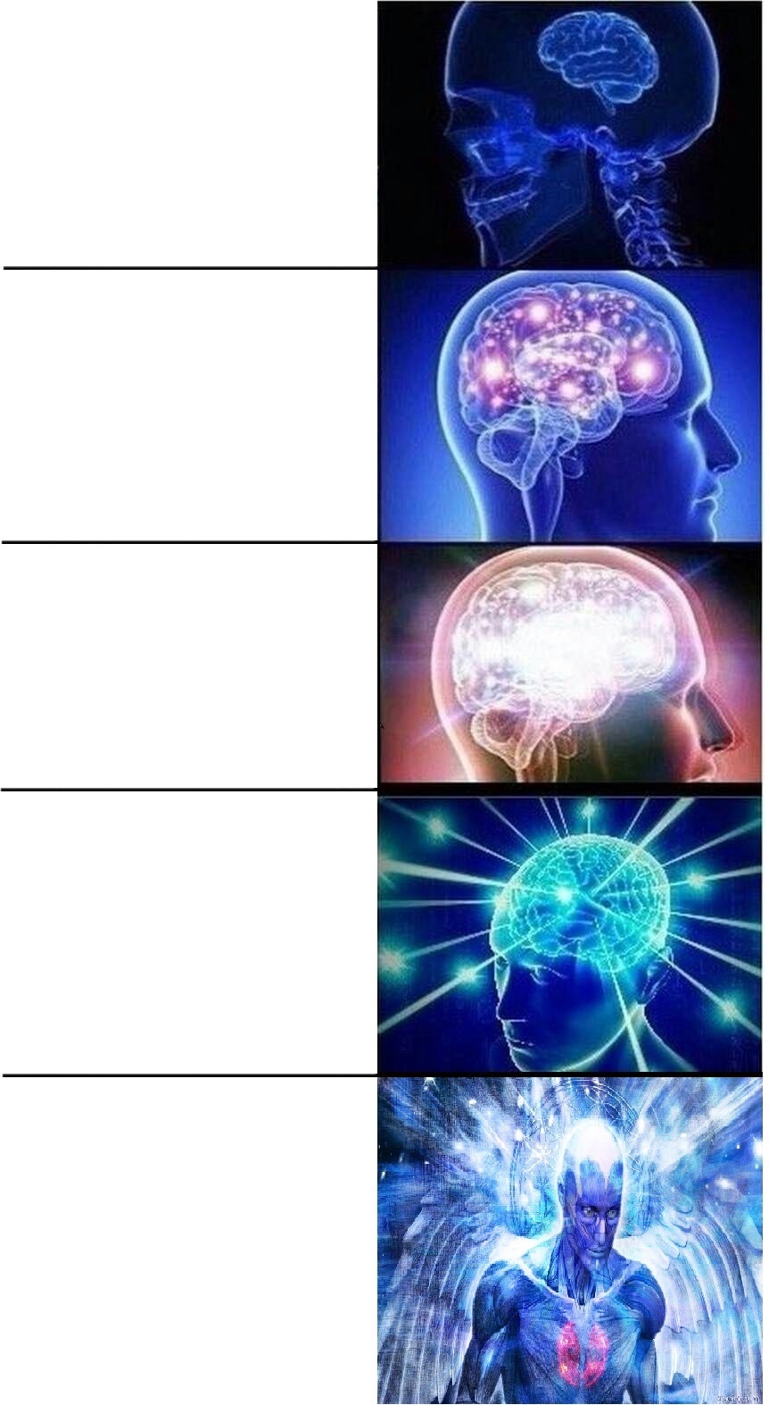 Expanding brain 5 stages Blank Meme Template