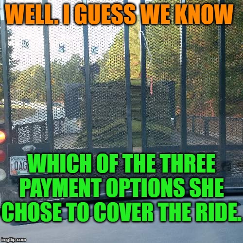As long she pays up, right? | WELL. I GUESS WE KNOW; WHICH OF THE THREE PAYMENT OPTIONS SHE CHOSE TO COVER THE RIDE. | image tagged in nixieknox,memes,gas,grass,arse | made w/ Imgflip meme maker
