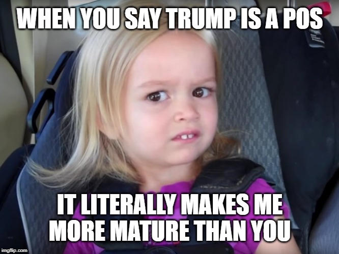 Huh? | WHEN YOU SAY TRUMP IS A POS; IT LITERALLY MAKES ME
MORE MATURE THAN YOU | image tagged in huh | made w/ Imgflip meme maker