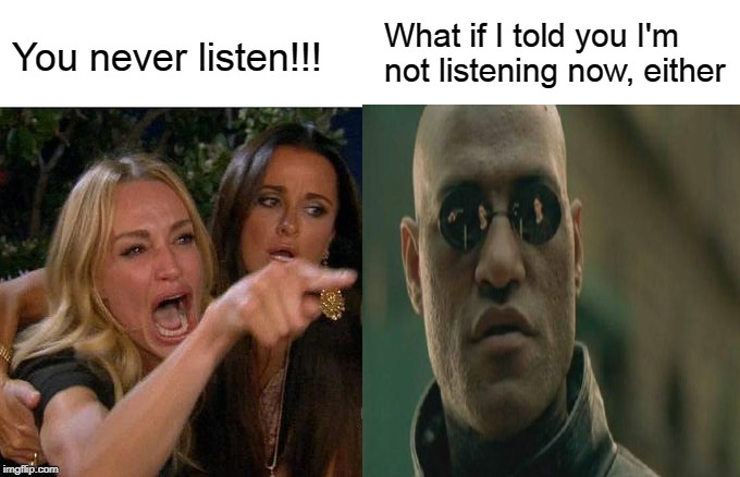Woman Yelling at Man | What if I told you I'm not listening now, either; You never listen!!! | image tagged in woman yelling at cat | made w/ Imgflip meme maker