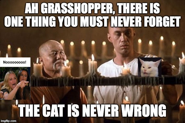 The sensei master would know. | image tagged in memes,woman yelling at cat | made w/ Imgflip meme maker