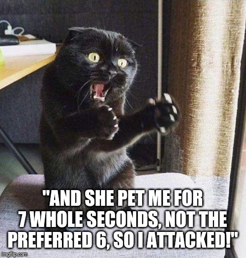 Freaked-Out Feline | "AND SHE PET ME FOR 7 WHOLE SECONDS, NOT THE PREFERRED 6, SO I ATTACKED!" | image tagged in freaked-out feline | made w/ Imgflip meme maker