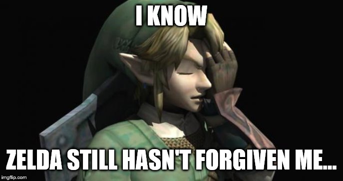 Link Facepalm | I KNOW ZELDA STILL HASN'T FORGIVEN ME... | image tagged in link facepalm | made w/ Imgflip meme maker