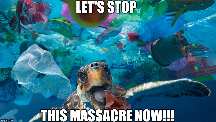 turtle eating plastic | LET'S STOP; THIS MASSACRE NOW!!! | image tagged in turtle eating plastic | made w/ Imgflip meme maker