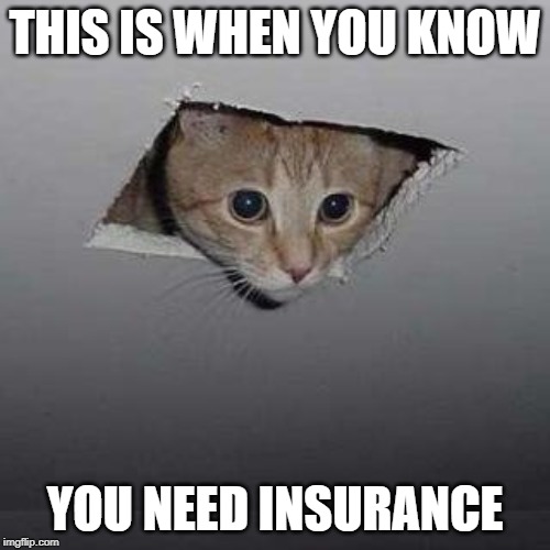 Ceiling Cat | THIS IS WHEN YOU KNOW; YOU NEED INSURANCE | image tagged in memes,ceiling cat | made w/ Imgflip meme maker