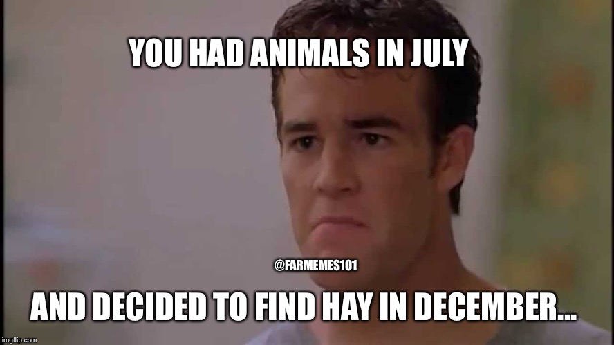 Animal owners | YOU HAD ANIMALS IN JULY; @FARMEMES101; AND DECIDED TO FIND HAY IN DECEMBER... | image tagged in varsity blues,lol,hay,farmer,horses | made w/ Imgflip meme maker