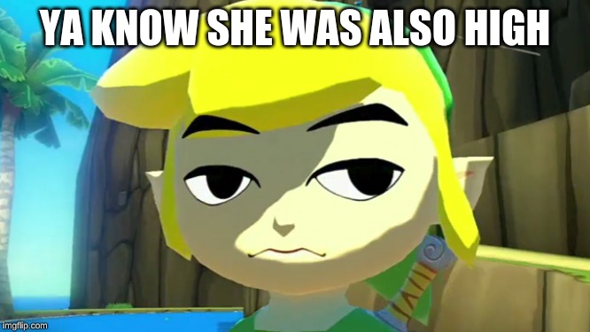 Zelda | YA KNOW SHE WAS ALSO HIGH | image tagged in zelda | made w/ Imgflip meme maker
