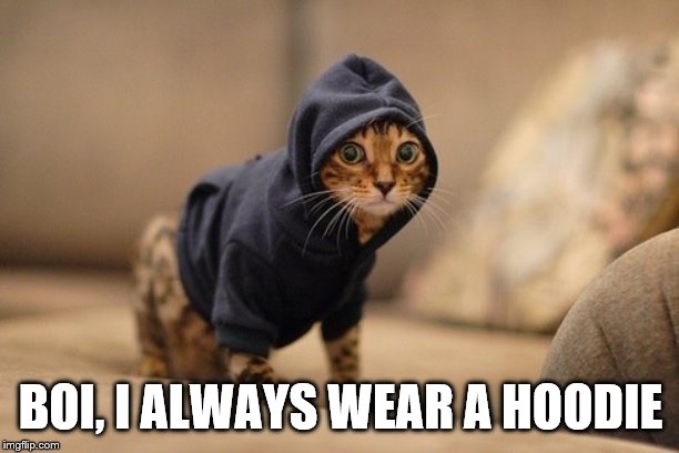 Hoody Cat Meme | BOI, I ALWAYS WEAR A HOODIE | image tagged in memes,hoody cat | made w/ Imgflip meme maker