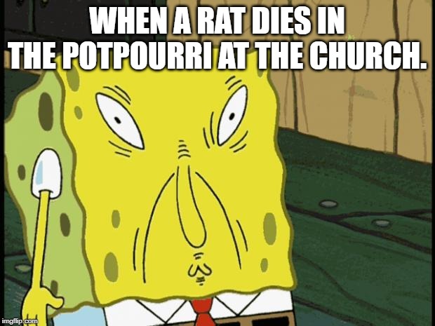 Spongebob funny face | WHEN A RAT DIES IN THE POTPOURRI AT THE CHURCH. | image tagged in spongebob funny face | made w/ Imgflip meme maker