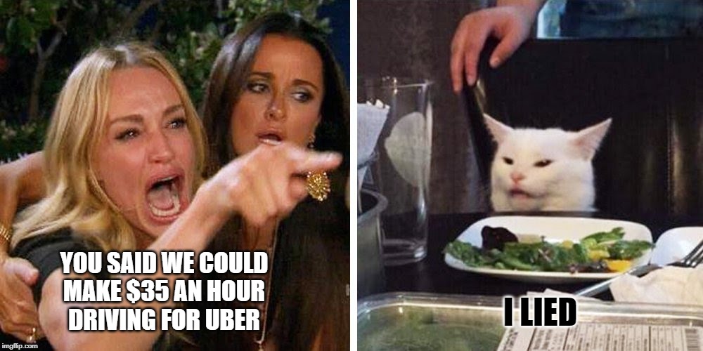 Smudge the cat | I LIED; YOU SAID WE COULD
MAKE $35 AN HOUR
DRIVING FOR UBER | image tagged in smudge the cat | made w/ Imgflip meme maker
