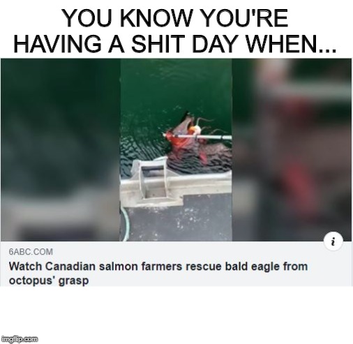 Really? That Happened? | YOU KNOW YOU'RE HAVING A SHIT DAY WHEN... | image tagged in merica | made w/ Imgflip meme maker