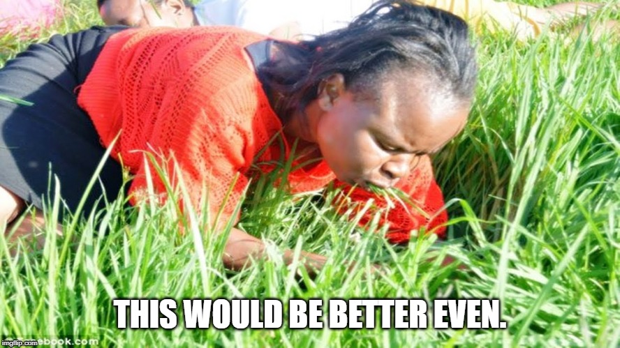eating grass | THIS WOULD BE BETTER EVEN. | image tagged in eating grass | made w/ Imgflip meme maker