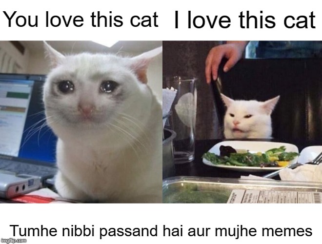 You love this cat; I love this cat; Tumhe nibbi passand hai aur mujhe memes | image tagged in crying cat,smudge the cat | made w/ Imgflip meme maker