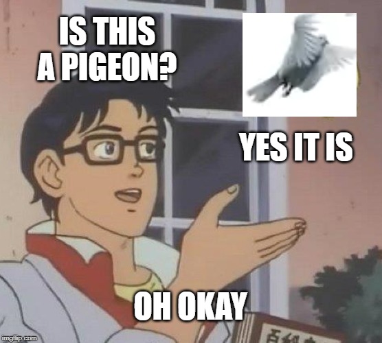 Is This A Pigeon Meme | IS THIS A PIGEON? YES IT IS; OH OKAY | image tagged in memes,is this a pigeon | made w/ Imgflip meme maker