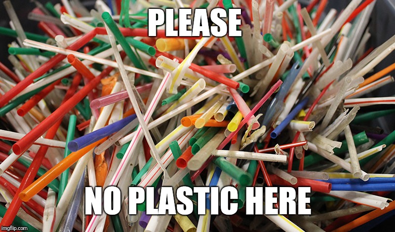Plastic free |  PLEASE; NO PLASTIC HERE | image tagged in plastic straws,pollution,sea | made w/ Imgflip meme maker