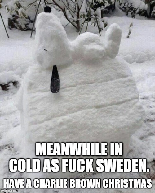 MEANWHILE IN COLD AS F**K SWEDEN. | made w/ Imgflip meme maker