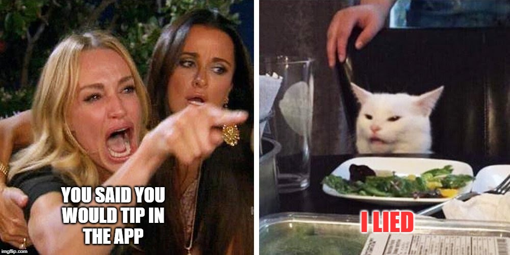 Smudge the cat | YOU SAID YOU
WOULD TIP IN
THE APP; I LIED | image tagged in smudge the cat | made w/ Imgflip meme maker