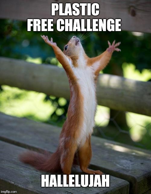 Funny squirrel |  PLASTIC FREE CHALLENGE; HALLELUJAH | image tagged in amen squirrel,funny memes,praying squirrel,plastic,challenge | made w/ Imgflip meme maker