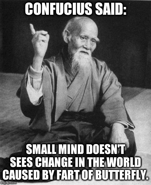 Wise Master | CONFUCIUS SAID: SMALL MIND DOESN'T SEES CHANGE IN THE WORLD CAUSED BY FART OF BUTTERFLY. | image tagged in wise master | made w/ Imgflip meme maker