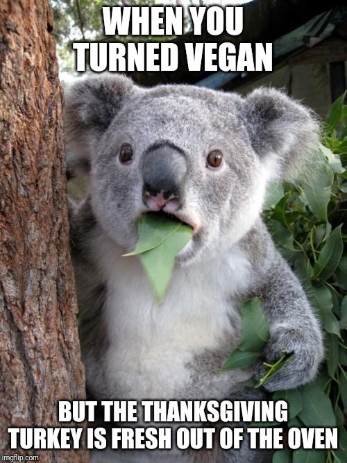 Surprised Koala Meme | WHEN YOU TURNED VEGAN; BUT THE THANKSGIVING TURKEY IS FRESH OUT OF THE OVEN | image tagged in memes,surprised koala | made w/ Imgflip meme maker
