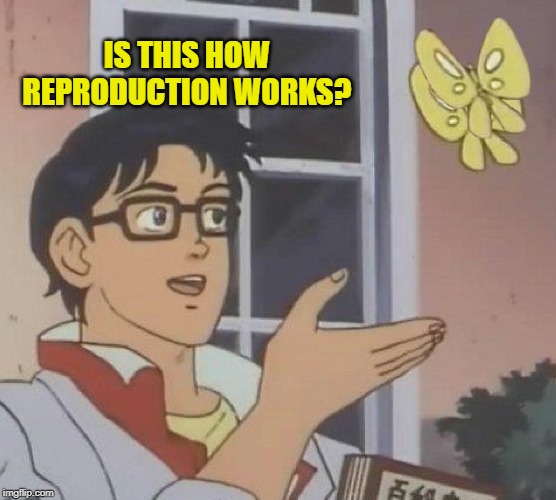 Birds & The Bees | IS THIS HOW REPRODUCTION WORKS? | image tagged in memes,is this a pigeon,butterfly,sex,mating | made w/ Imgflip meme maker