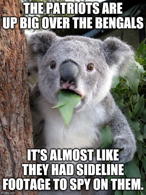 Surprised Koala | THE PATRIOTS ARE UP BIG OVER THE BENGALS; IT'S ALMOST LIKE THEY HAD SIDELINE FOOTAGE TO SPY ON THEM. | image tagged in memes,surprised koala | made w/ Imgflip meme maker