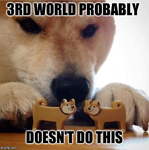 Shiba Making Toys Kiss | 3RD WORLD PROBABLY; DOESN'T DO THIS | image tagged in shiba making toys kiss | made w/ Imgflip meme maker