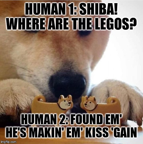 Shiba Making Toys Kiss | HUMAN 1: SHIBA! WHERE ARE THE LEGOS? HUMAN 2: FOUND EM' HE'S MAKIN' EM' KISS 'GAIN | image tagged in shiba making toys kiss | made w/ Imgflip meme maker