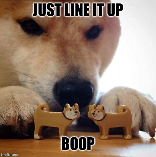 Shiba Making Toys Kiss | JUST LINE IT UP; BOOP | image tagged in shiba making toys kiss | made w/ Imgflip meme maker