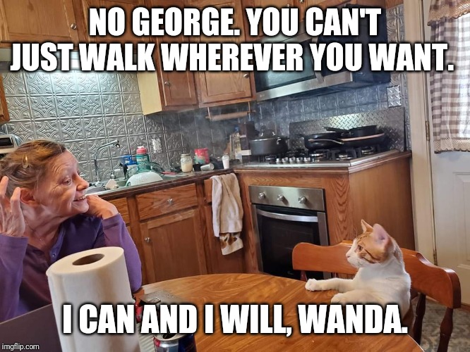 Wanda and George | NO GEORGE. YOU CAN'T JUST WALK WHEREVER YOU WANT. I CAN AND I WILL, WANDA. | image tagged in wanda and george | made w/ Imgflip meme maker