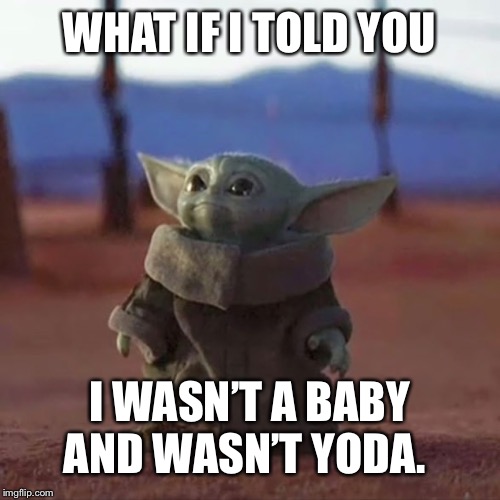 Baby Yoda | WHAT IF I TOLD YOU; I WASN’T A BABY AND WASN’T YODA. | image tagged in baby yoda | made w/ Imgflip meme maker