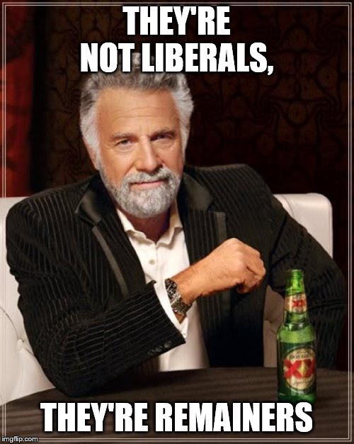 The Most Interesting Man In The World Meme | THEY'RE NOT LIBERALS, THEY'RE REMAINERS | image tagged in memes,the most interesting man in the world | made w/ Imgflip meme maker