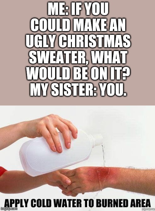 Apply Cold Water To Burned Area | ME: IF YOU COULD MAKE AN UGLY CHRISTMAS SWEATER, WHAT WOULD BE ON IT?
MY SISTER: YOU. | image tagged in apply cold water to burned area | made w/ Imgflip meme maker