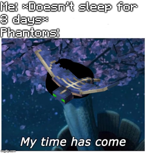 My time has come | Me: *Doesn't sleep for 
3 days*
Phantoms: | image tagged in my time has come | made w/ Imgflip meme maker