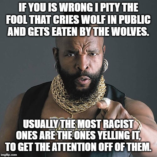 Mr T Pity The Fool Meme | IF YOU IS WRONG I PITY THE FOOL THAT CRIES WOLF IN PUBLIC AND GETS EATEN BY THE WOLVES. USUALLY THE MOST RACIST ONES ARE THE ONES YELLING IT | image tagged in memes,mr t pity the fool | made w/ Imgflip meme maker