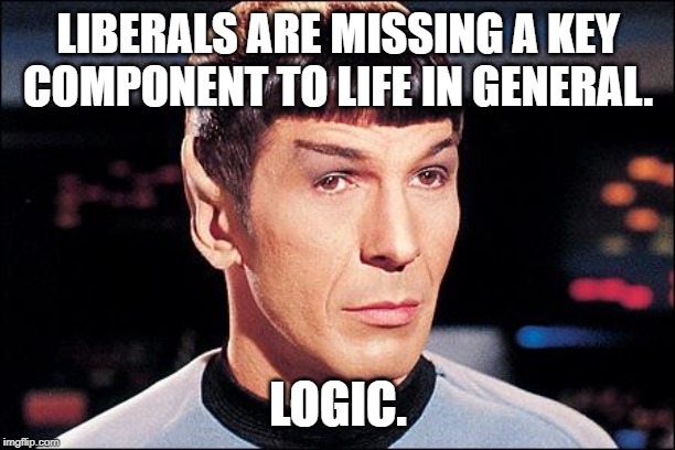 Condescending Spock | LIBERALS ARE MISSING A KEY COMPONENT TO LIFE IN GENERAL. LOGIC. | image tagged in condescending spock | made w/ Imgflip meme maker