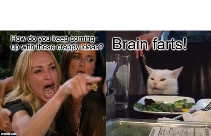 Woman Yelling At Cat Meme | How do you keep coming up with these crappy ideas? Brain farts! | image tagged in memes,woman yelling at cat | made w/ Imgflip meme maker