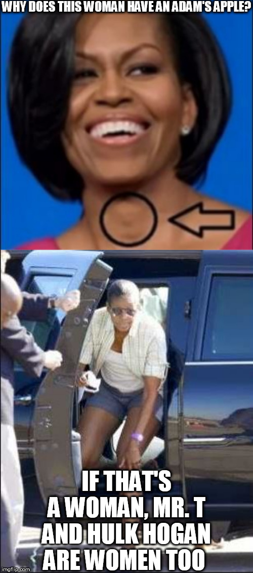 a WOMAN DOESN'T CHECK UP ON HER CROTCH,BUT MICHAEL (  MICHELLE DOES IT ALL THE  TIME) | WHY DOES THIS WOMAN HAVE AN ADAM'S APPLE? IF THAT'S A WOMAN, MR. T AND HULK HOGAN ARE WOMEN TOO | image tagged in michelle obama,adams apple,mr t  hulk  hogan,woman | made w/ Imgflip meme maker