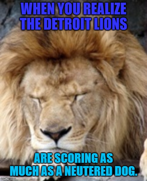 detroit lions jokes