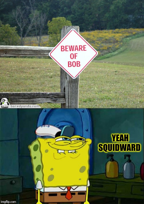 YEAH SQUIDWARD | image tagged in memes,dont you squidward | made w/ Imgflip meme maker