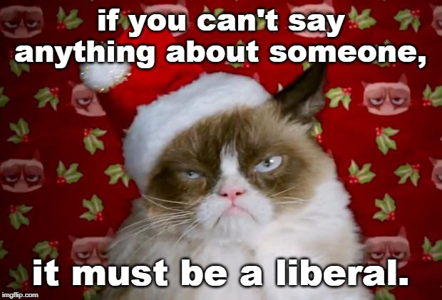 because they practice evil. | if you can't say anything about someone, it must be a liberal. | image tagged in liberal media,grumpy cat,evil democrats,r i n o,meme gift | made w/ Imgflip meme maker