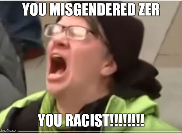 Screaming Liberal | YOU MISGENDERED ZER YOU RACIST!!!!!!!! | image tagged in screaming liberal | made w/ Imgflip meme maker