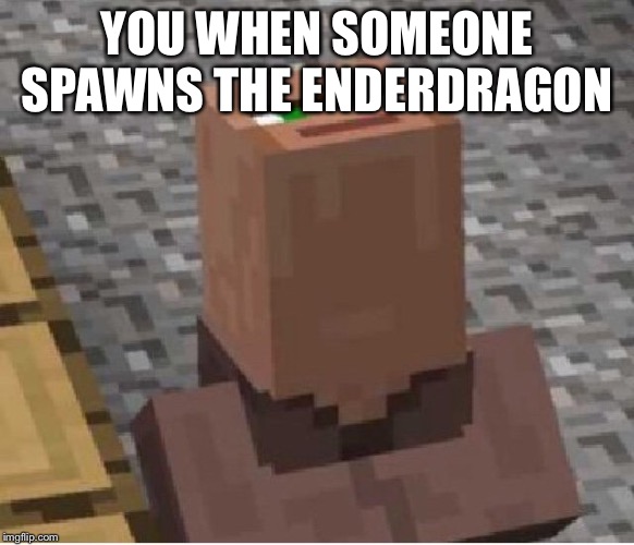Minecraft Villager Looking Up | YOU WHEN SOMEONE SPAWNS THE ENDERDRAGON | image tagged in minecraft villager looking up | made w/ Imgflip meme maker