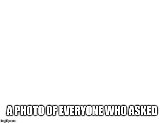 Blank White Template | A PHOTO OF EVERYONE WHO ASKED | image tagged in blank white template | made w/ Imgflip meme maker