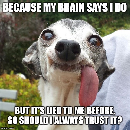 Dog tongue | BECAUSE MY BRAIN SAYS I DO BUT IT’S LIED TO ME BEFORE, SO SHOULD I ALWAYS TRUST IT? | image tagged in dog tongue | made w/ Imgflip meme maker