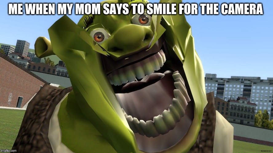ME WHEN MY MOM SAYS TO SMILE FOR THE CAMERA | image tagged in funny | made w/ Imgflip meme maker