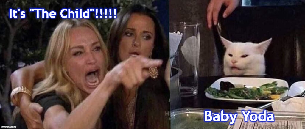 woman yelling at cat | It's "The Child"!!!!! Baby Yoda | image tagged in woman yelling at cat | made w/ Imgflip meme maker